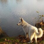 dscn0224