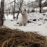dscn0311