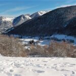 dscn0445-1